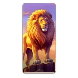 Lion
Safari